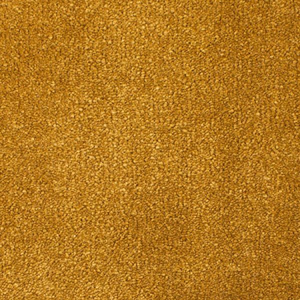 Ochre 150204