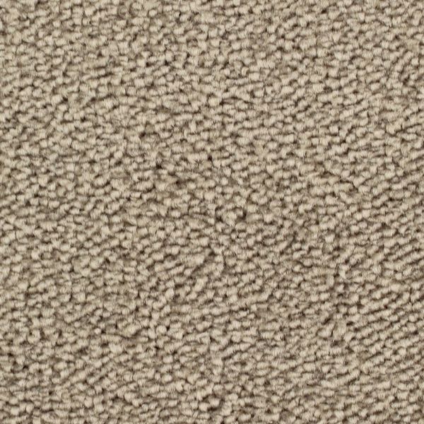 Taupe 133