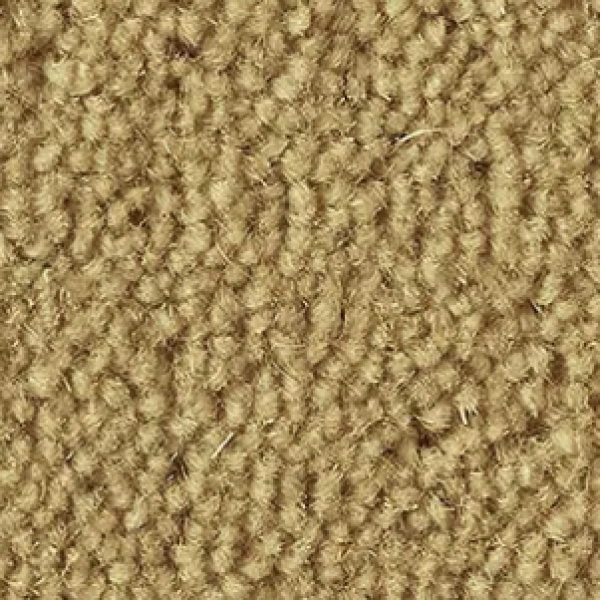 Cornsilk