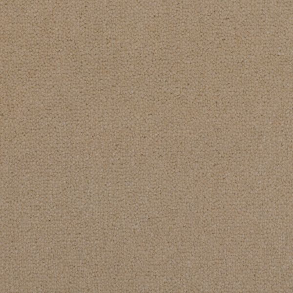 Springfield 176 RVW23