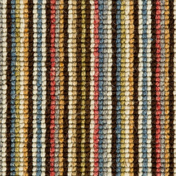 Chocolate / Blue WS115 