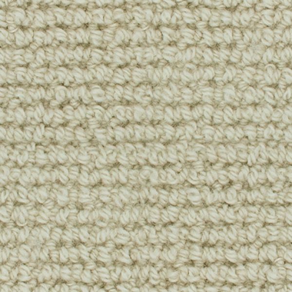 Brushed Cotton WA151 