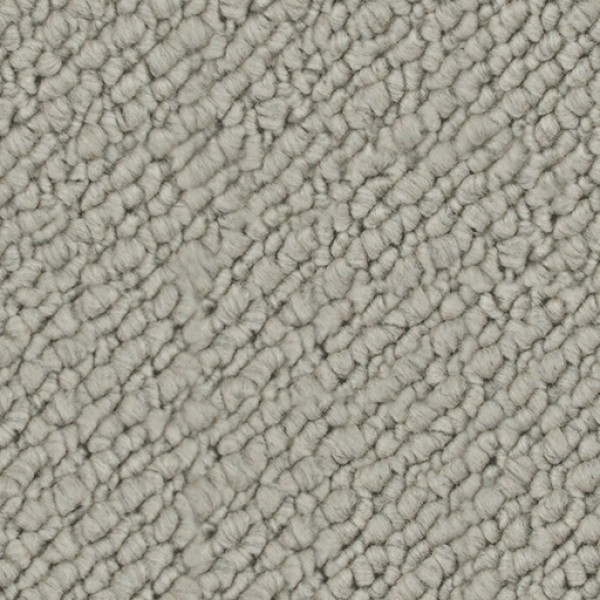 Starlight Grey SN503  