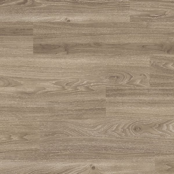 Black Elm 4034