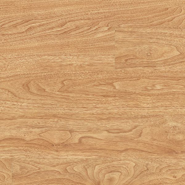 American Oak 2217