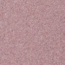 English Rose 185 TT421