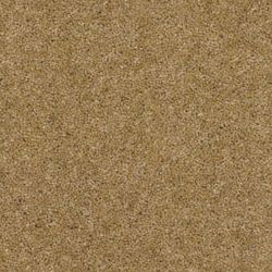 Golden Haze 185 TT429