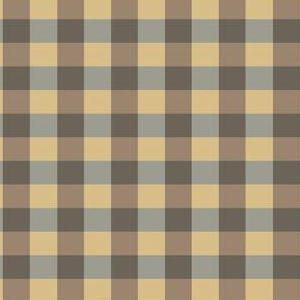 New Gingham Silver