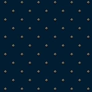 Pindot Navy