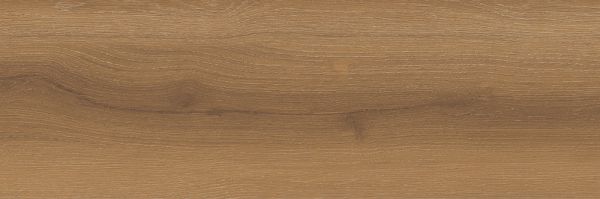 Wild Oak Autumn Leaf 24132410