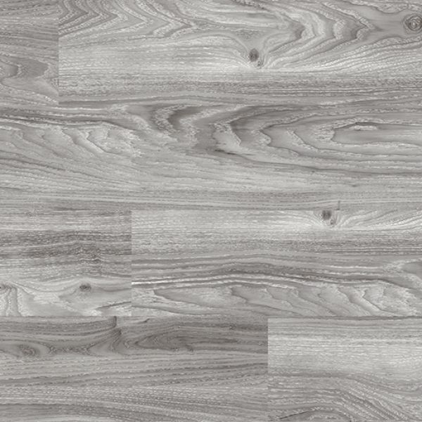 Grey Mountain Ash 4154