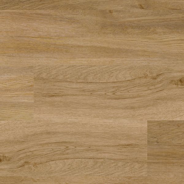 Evergreen Oak 4159