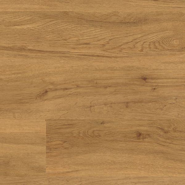 Butternut Oak  4161