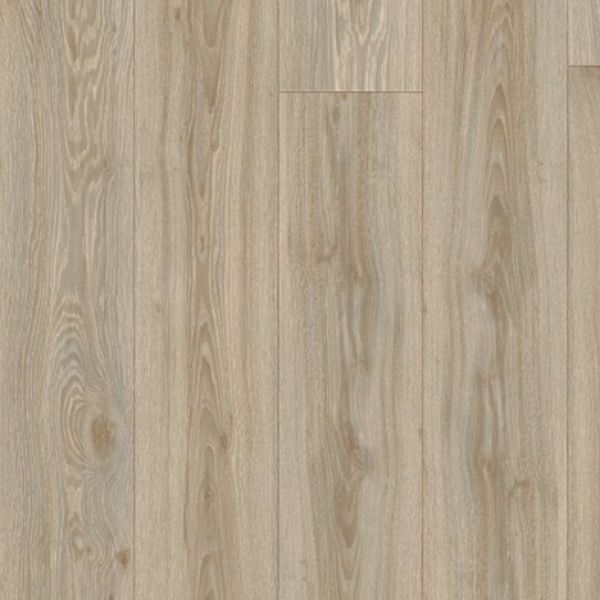 Glyde Oak 22246