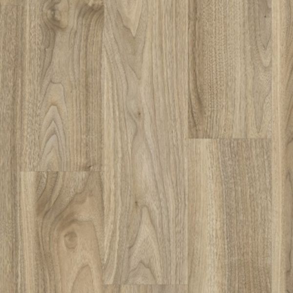 English Walnut 20226