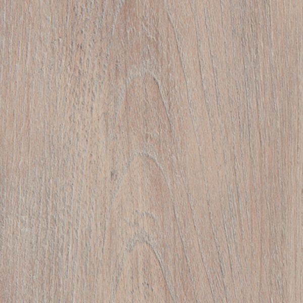 Blush Oak