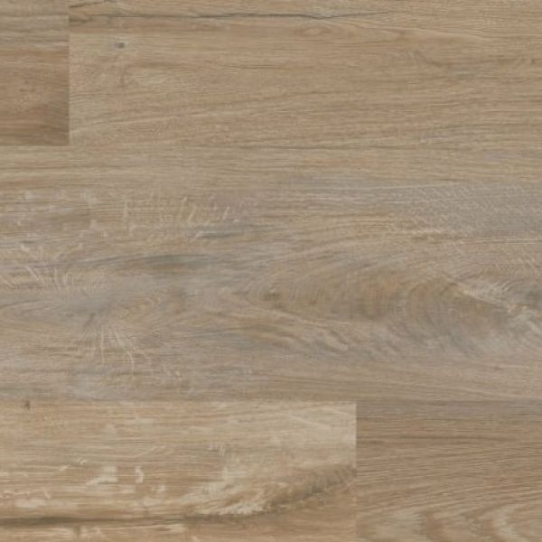 Hayfield Oak VGW8241