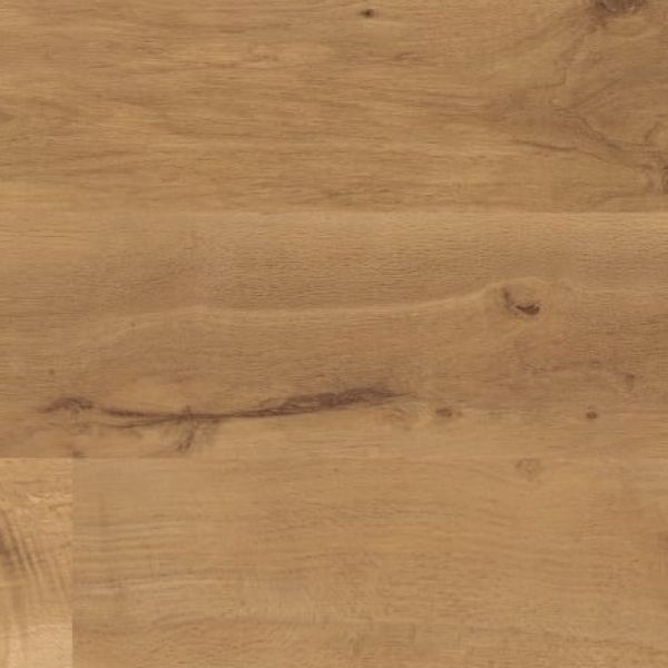 Auckland Oak VGW52T-SCB