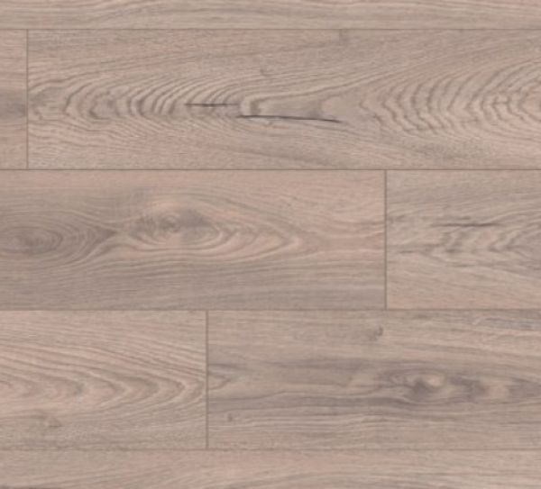 Mushroom Carpenter Oak L18-ATLK478