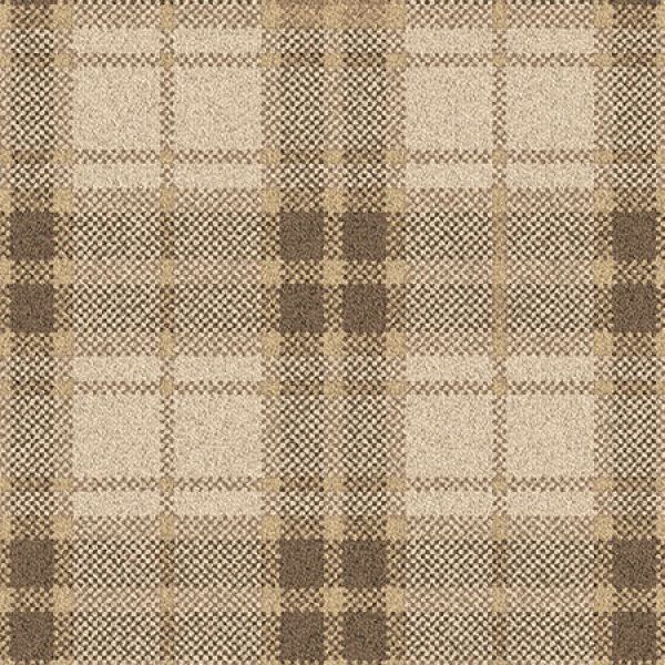 Hamilton Honesty 11/30006