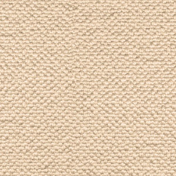 Auckland Calico 10/1428