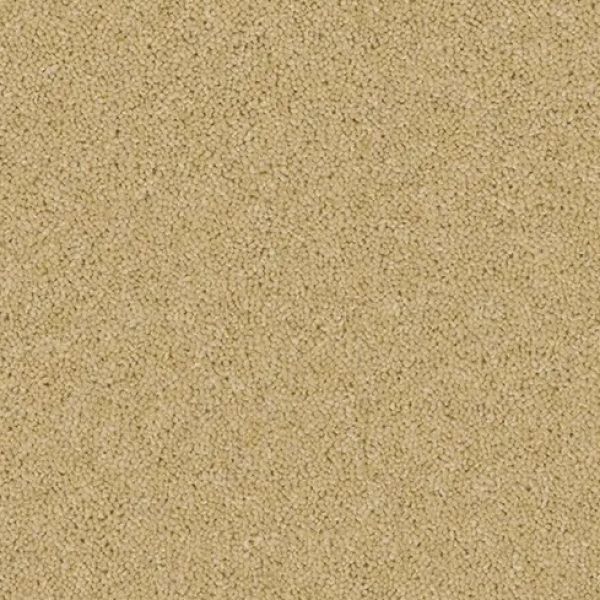 Classic Clay 4104-Calm & Cosy