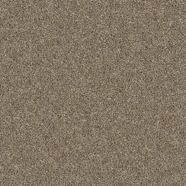 Dawlish Driftwood 4109 - Calm & Cosy