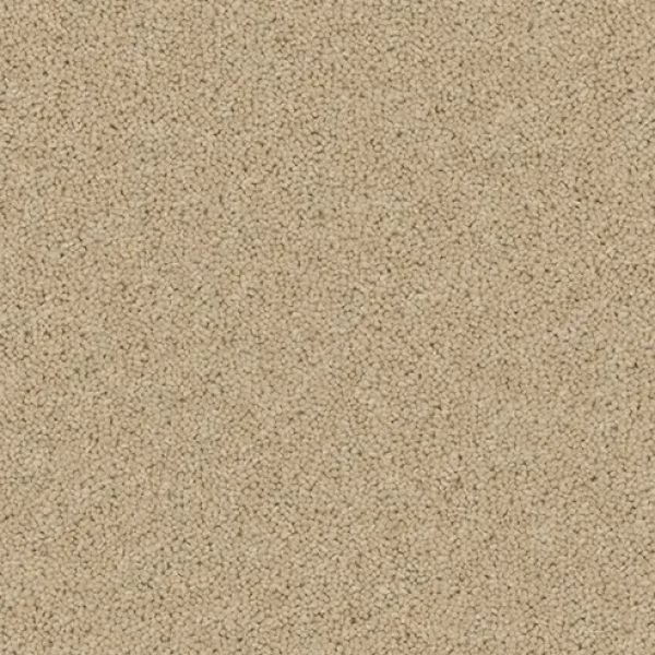 Light Lace 4102- Light & Airy