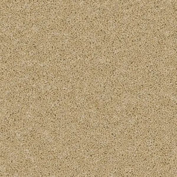 Sand Salt 4103 - Calm & Cosy