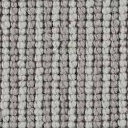 Morning Dew & Fossil