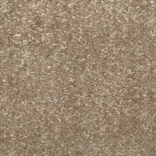 Sauteed Mushroom 730 