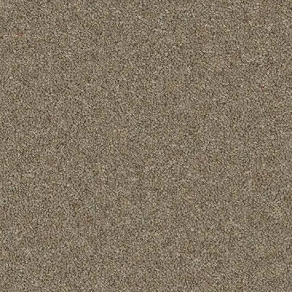 Dawlish Driftwood 5109