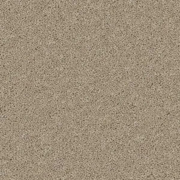 Tranquil Truffle 5101