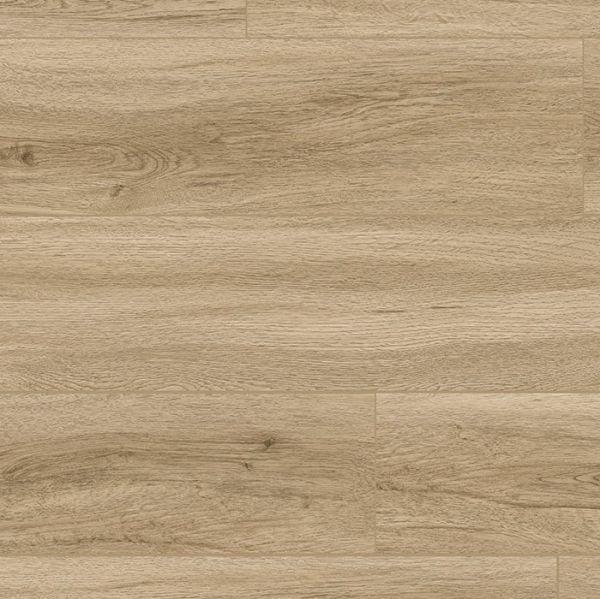 English Oak AQV-PFP-2701