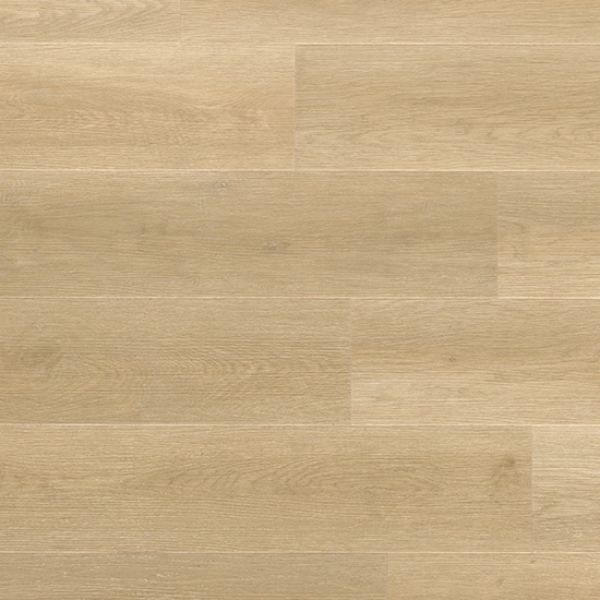 Amaranth IVA-2701-IB