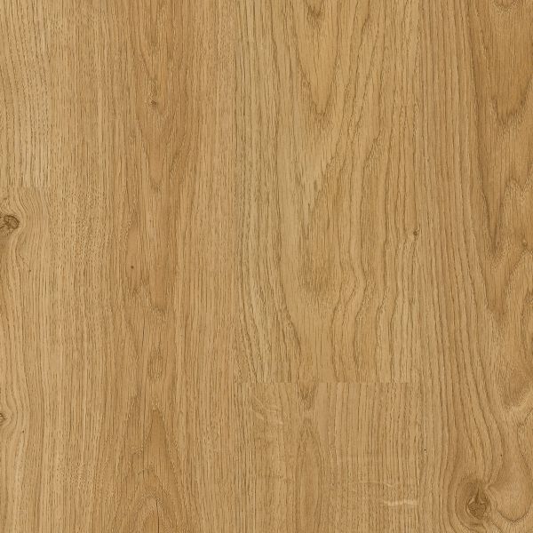 White Oak Light EL1491