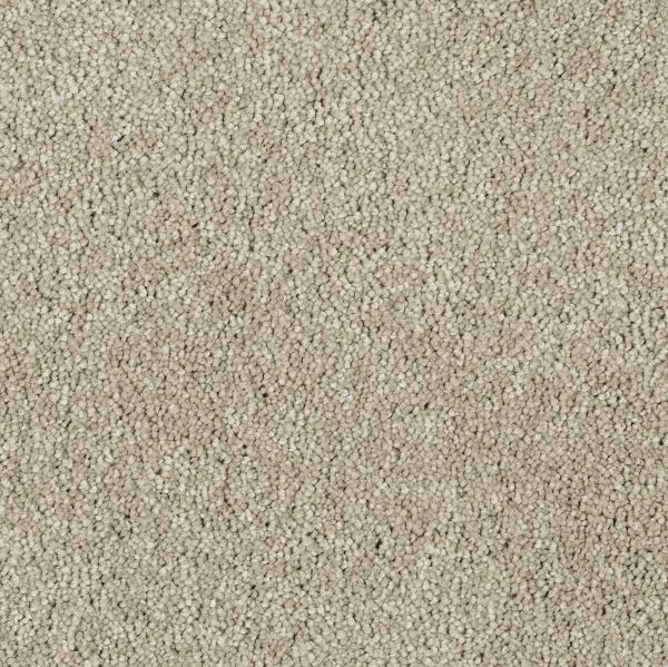 Delicate Touch 3271 640 TB