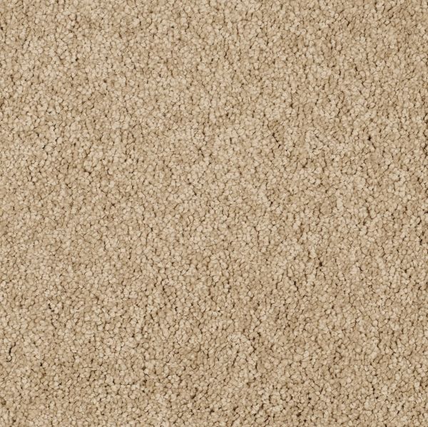 Muffin Delight 3271 660 TB