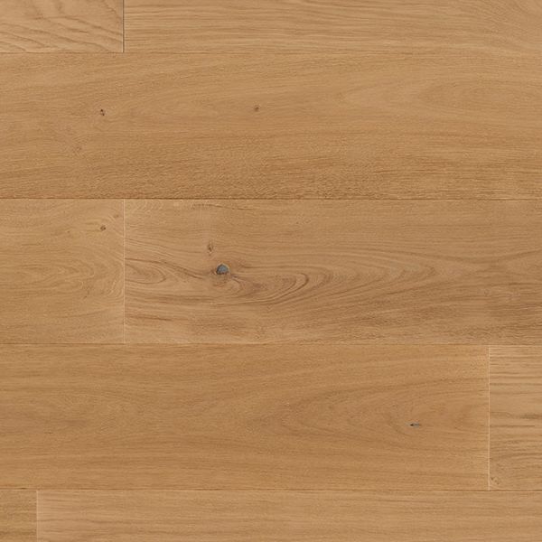 Chamois NARV 190-976