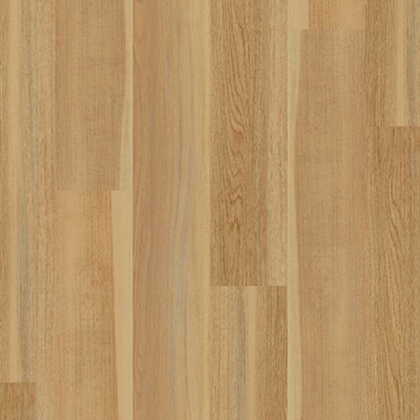 English Oak PLK5263 