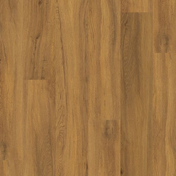 Golden Oak PLK5266 