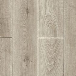 Silve Ice Oak