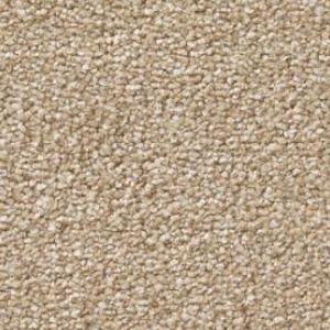 Flax 