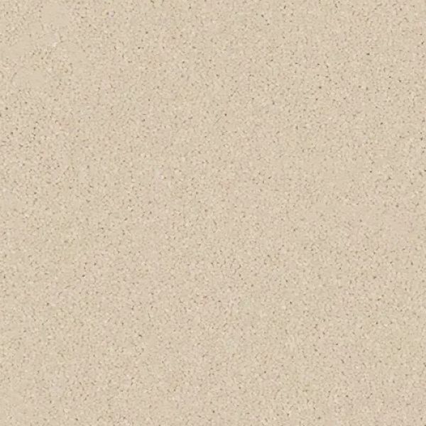 Oyster Shell 1564