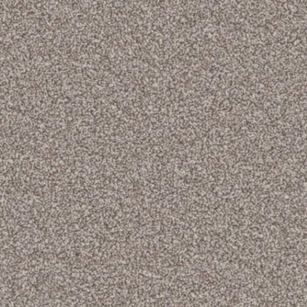Soft Truffle 1556