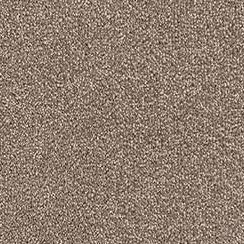 Ash 1538