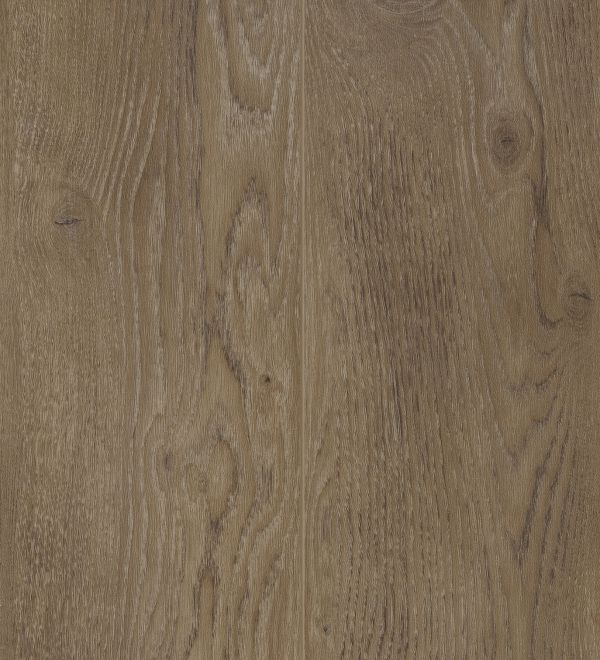 Baltimore Oak LVRE1284