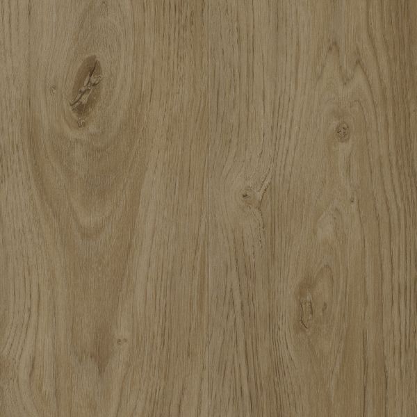 Baltimore Oak lvp1254  