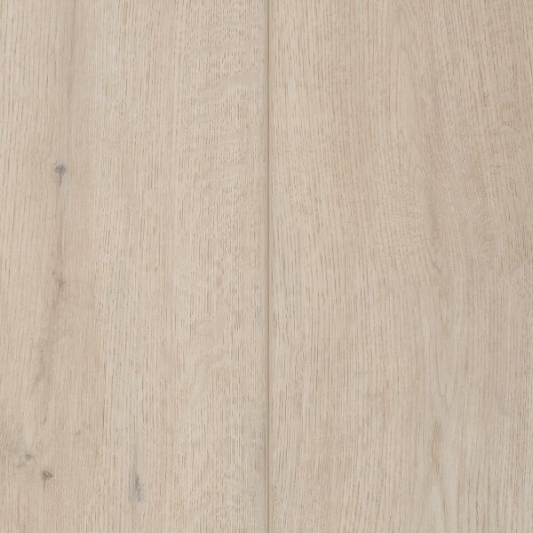 Cleveland Oak lvpe1462 