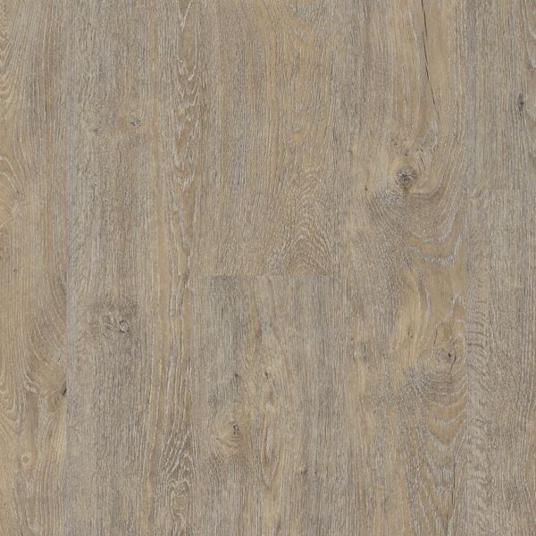 Waterton Lakes Oak lvr9604  